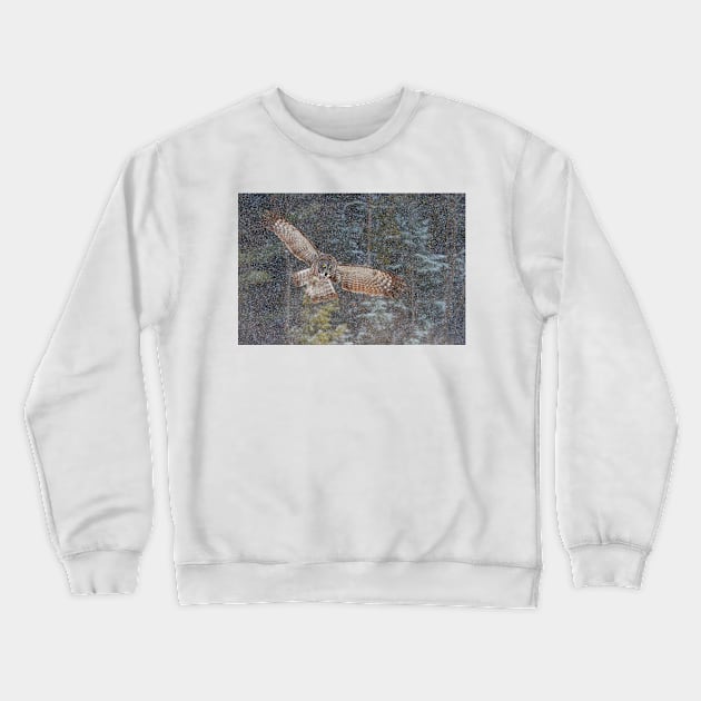 Great Grey Owl Crewneck Sweatshirt by Jim Cumming